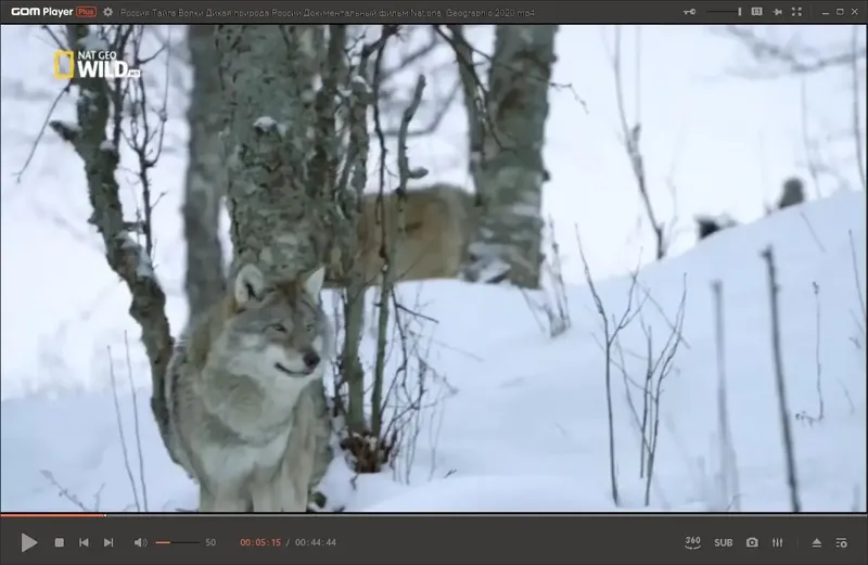 Программный интерфейс GOM Player Plus 2.3.83.5350 Portable by 7997 [Multi Ru]