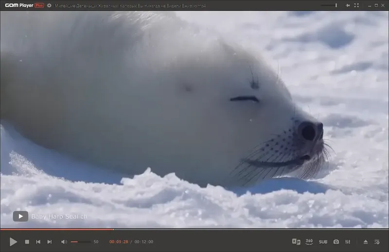 Программный интерфейс GOM Player Plus 2.3.88.5358 RePack (& Portable) by Dodakaedr [Ru En]