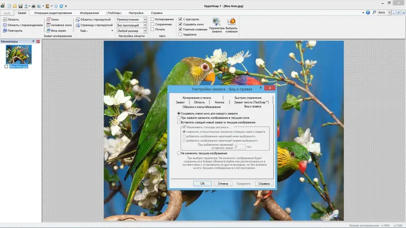 Программный интерфейс HyperSnap 7.28.03 RePack (& portable) by D!akov [Ru]