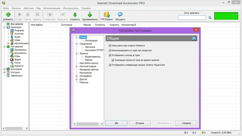 Программный интерфейс Internet Download Accelerator Pro 5.19.1.1387 [Multi Ru]