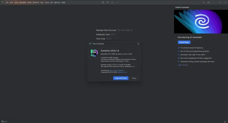 Программный интерфейс JetBrains DataGrip 2024.1.4 Repack by Sitego [En]
