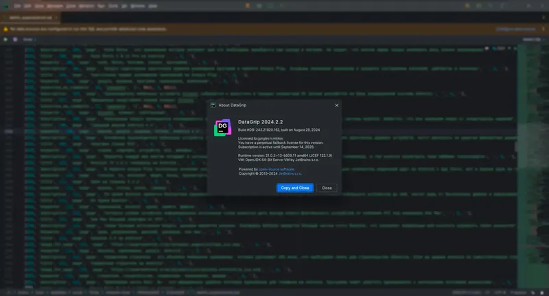Программный интерфейс JetBrains DataGrip 2024.2.2 Repack by Sitego [En]