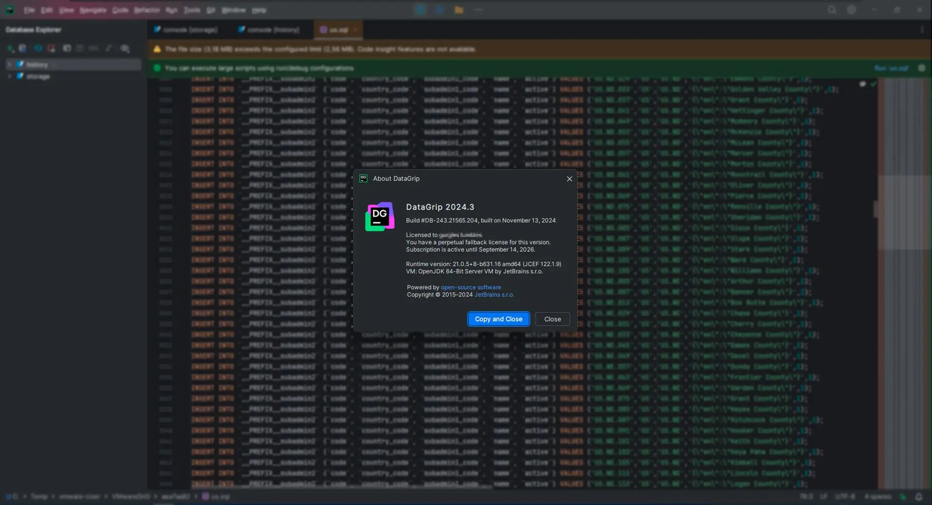 Программный интерфейс JetBrains DataGrip 2024.3 (x64-arm64) Repack by Sitego