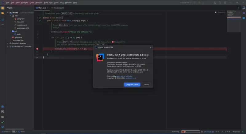 Программный интерфейс Jetbrains IntelliJ IDEA Ultimate 2024.3 (x64-arm64) Repack by Sitego [En]