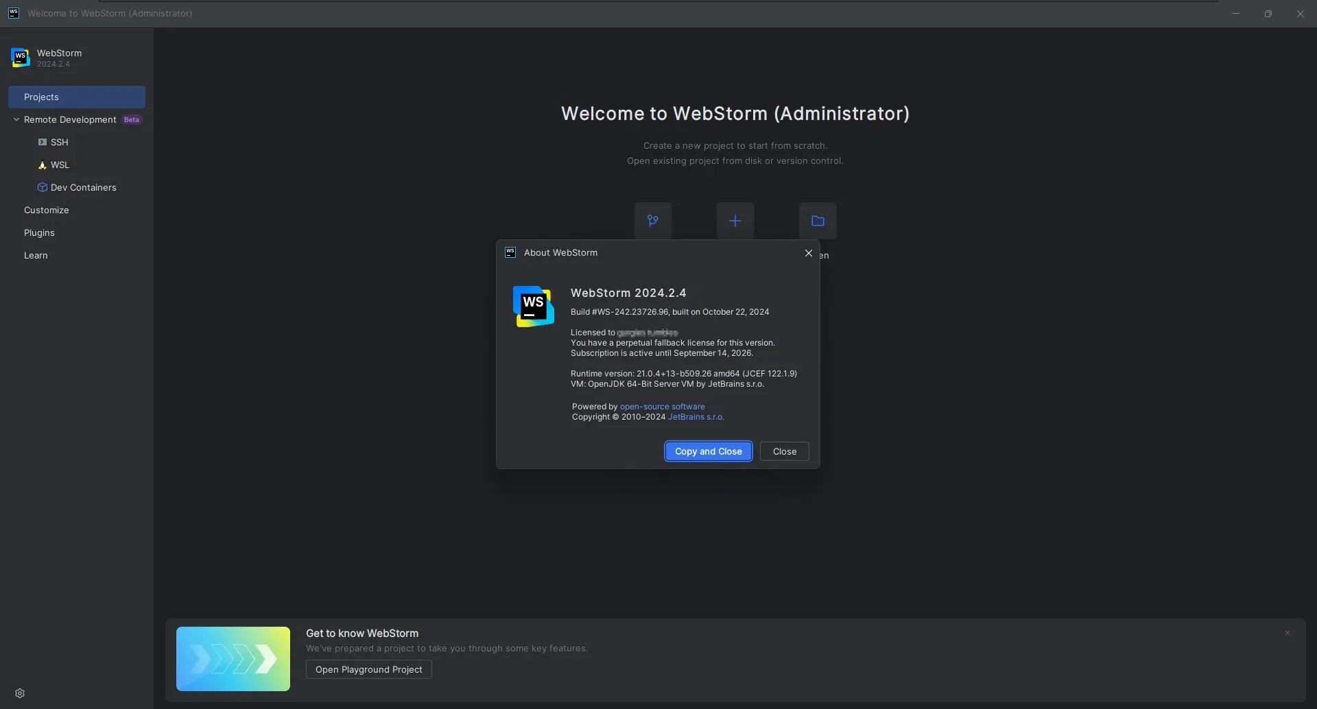 Программный интерфейс Jetbrains WebStorm 2024.2.4 (x64-arm64) Repack by Sitego [En]
