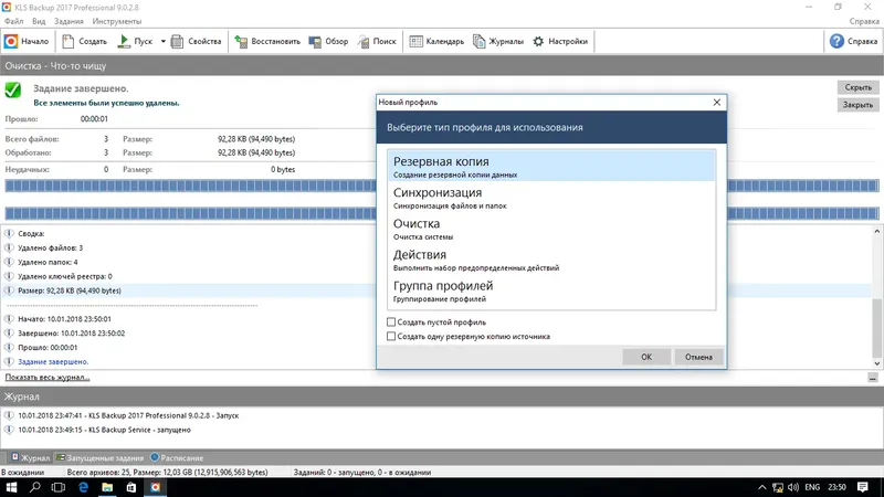 Программный интерфейс KLS Backup 2017 Professional 9.0.2.8 (2018) Русский Английский