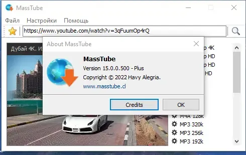 Программный интерфейс MassTube Plus 15.0.0.500 RePack (& Portable) by 9649 [Ru En]