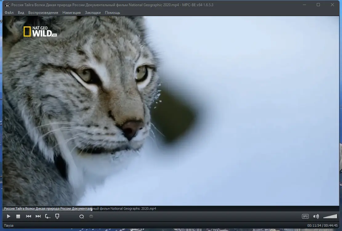 Программный интерфейс Media Player Classic - Black Edition 1.6.5.3 Stable RePack (& Portable) by elchupacabra [Multi Ru]