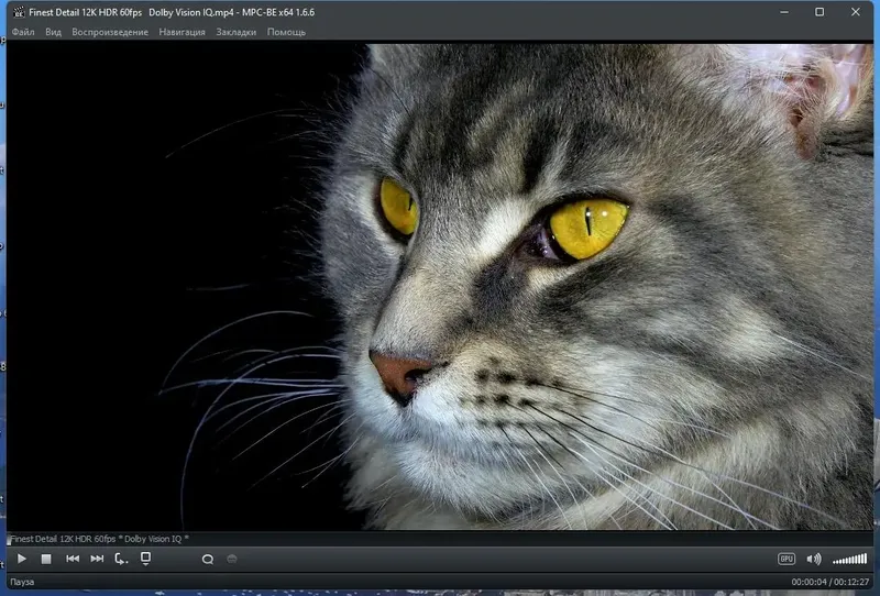 Программный интерфейс Media Player Classic - Black Edition 1.6.6 Stable RePack (& Portable) by elchupacabra [Multi Ru]