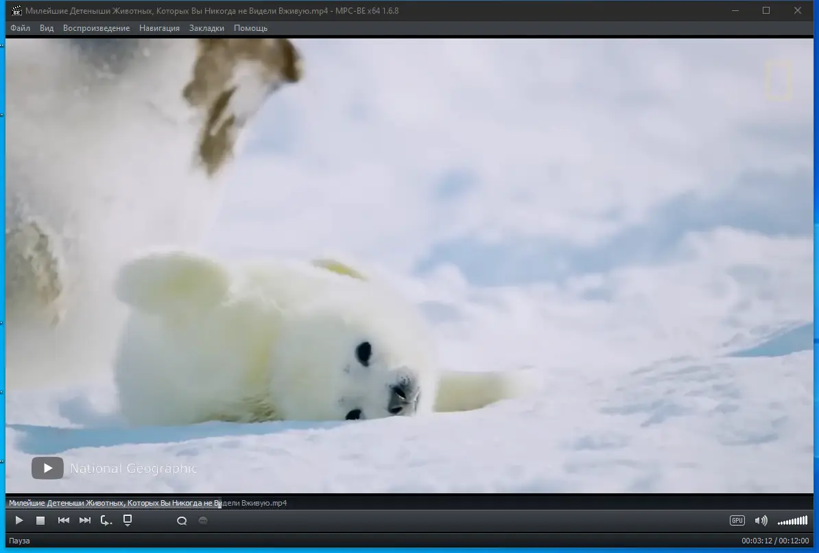 Программный интерфейс Media Player Classic - Black Edition 1.6.8 Stable RePack (& Portable) by elchupacabra [Multi Ru]