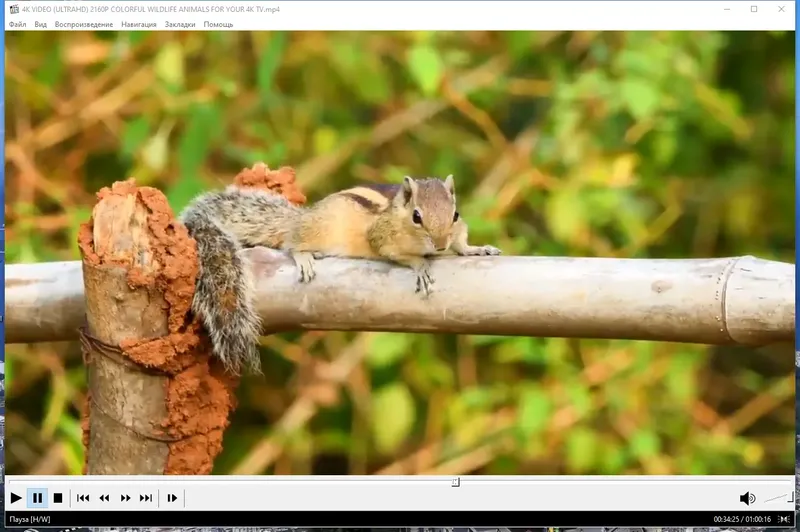 Программный интерфейс Media Player Classic Home Cinema (MPC-HC) 2.1.0 RePack (& portable) by KpoJIuK [Multi Ru]