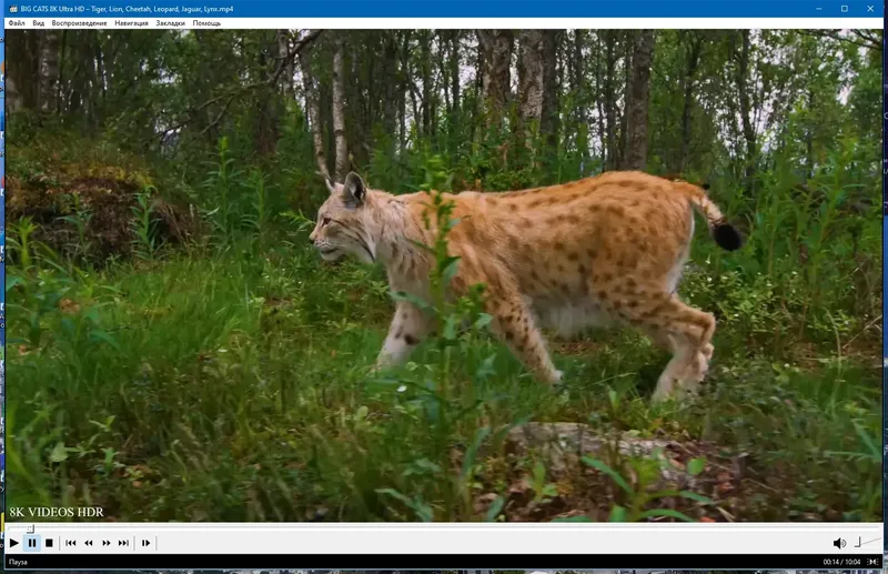 Программный интерфейс Media Player Classic Home Cinema (MPC-HC) 2.1.3 RePack (& portable) by elchupacabra [Multi Ru]