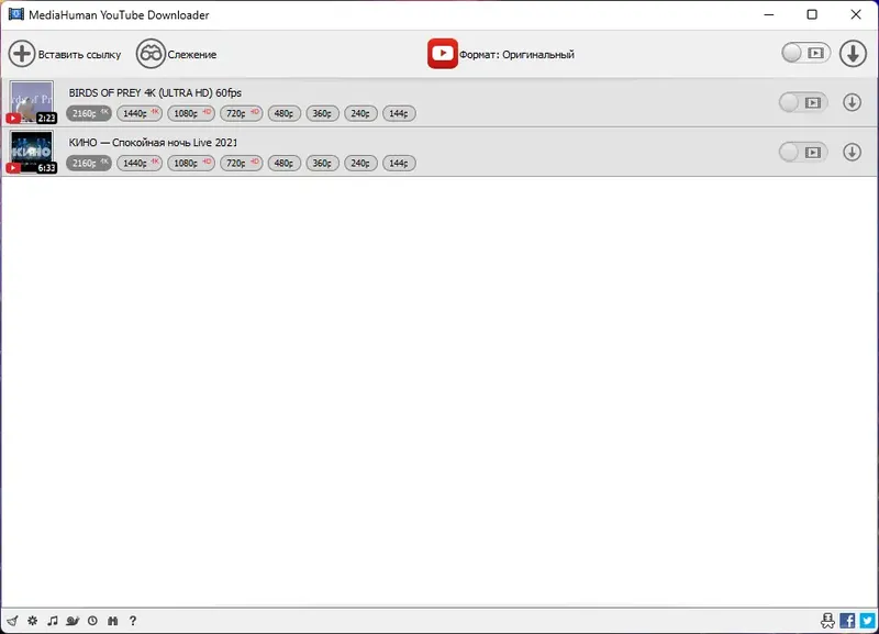 Программный интерфейс MediaHuman YouTube Downloader 3.9.9.78 (2212) RePack (& Portable) by Dodakaedr [Ru En]