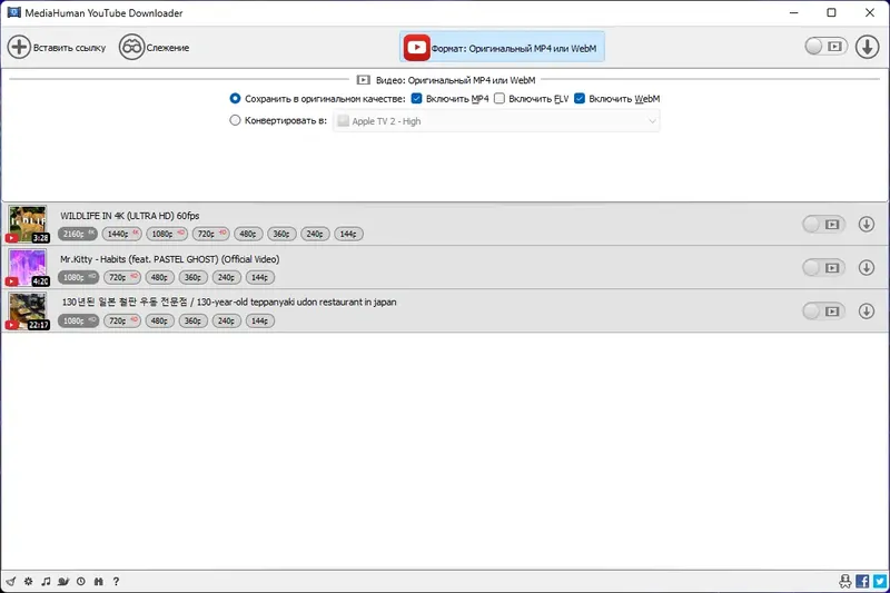 Программный интерфейс MediaHuman YouTube Downloader 3.9.9.79 (2101) RePack (& Portable) by elchupacabra [Multi Ru]