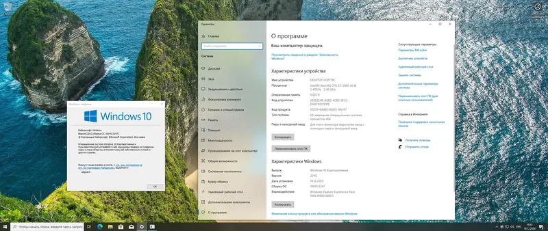 Программный интерфейс Microsoft Windows 10 [10.0.19045.5247], Version 22H2 (Updated December 2024) - Оригинальные образы от Microsoft VLSC [Ru]