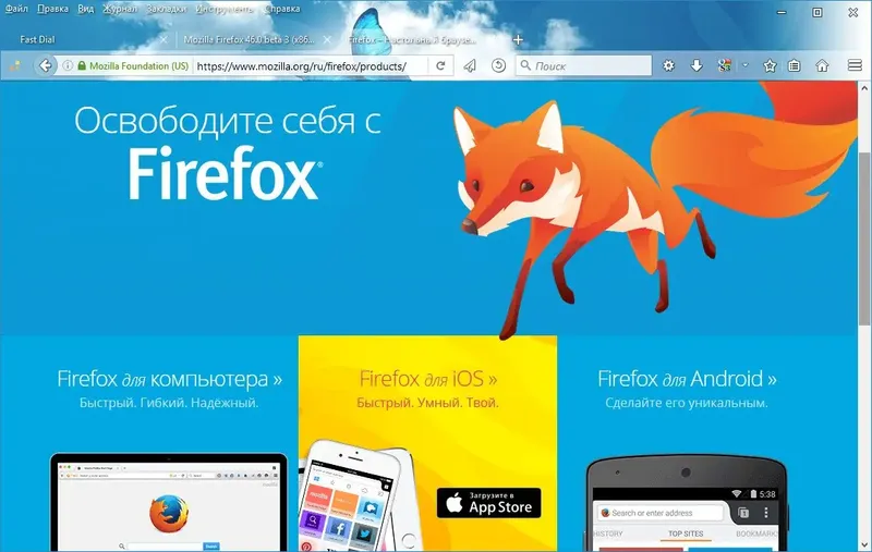 Программный интерфейс Mozilla Firefox 49.0 beta 8 x86 x64 (2016) Русский