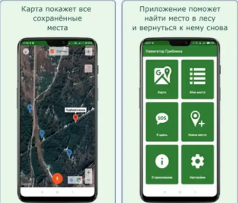Программный интерфейс Навигатор Грибника v3.15.3 (2022) Android