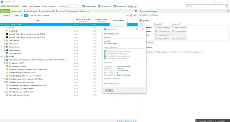 Программный интерфейс NetLimiter Pro 4.1.9.0 (2021) PC
