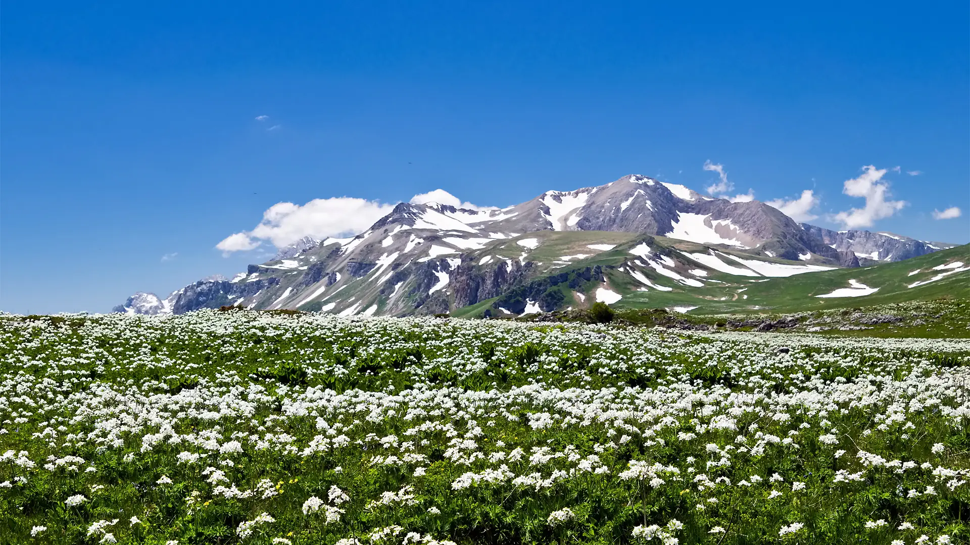 Программный интерфейс Обои для рабочего стола - Красоты родной природы-2 [1920x1080] [64шт.] (2017) JPG