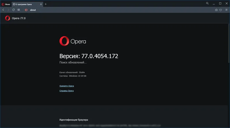 Программный интерфейс Opera 77.0.4054.172 Portable by JolyAnderson [Multi Ru]
