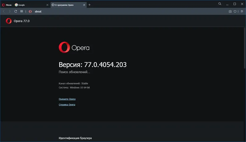 Программный интерфейс Opera 77.0.4054.203 Portable by JolyAnderson [Multi Ru]