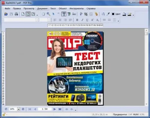 Программный интерфейс PDF Pro 1.01 (2017) Русский