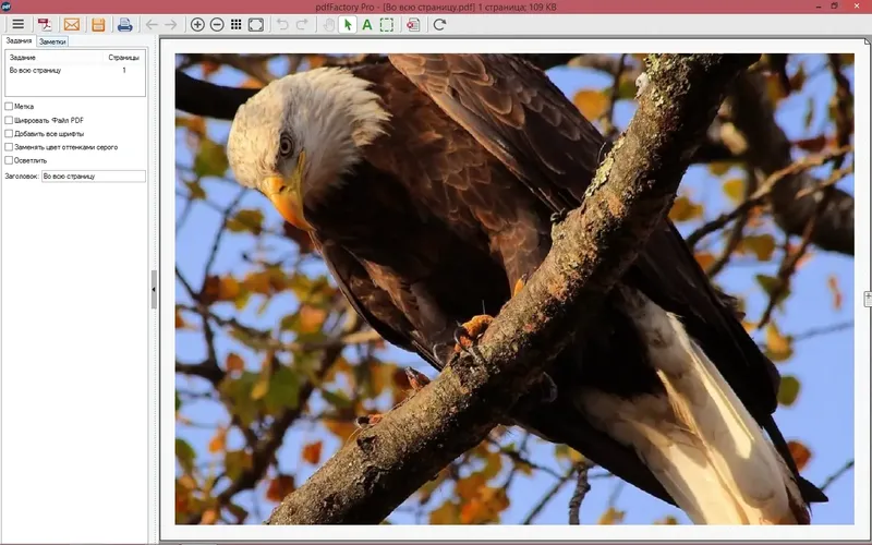 Программный интерфейс pdfFactory Pro 6.18 RePack by KpoJIuK (2017) MULTi Русский