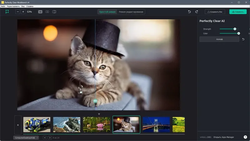 Программный интерфейс Perfectly Clear WorkBench 4.6.1.2681 RePack (& Portable) by elchupacabra [Multi Ru]