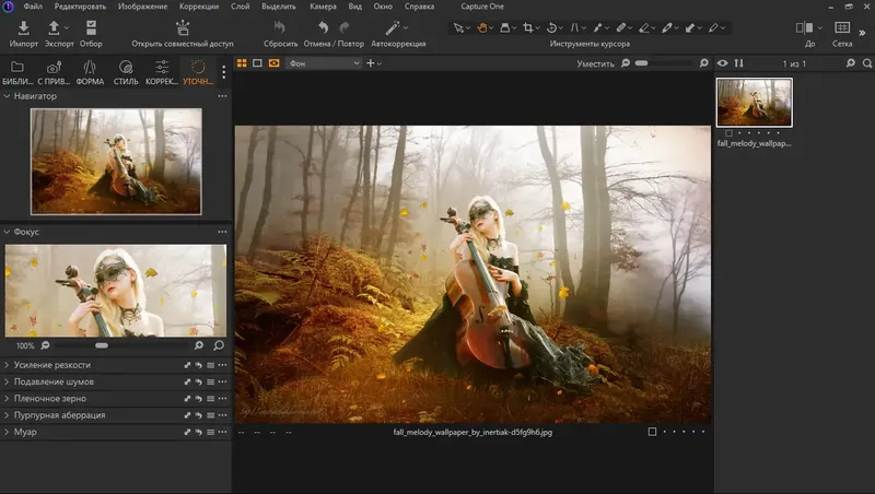 Программный интерфейс Phase One Capture One 23 Enterprise 16.0.1.20 [Multi Ru]