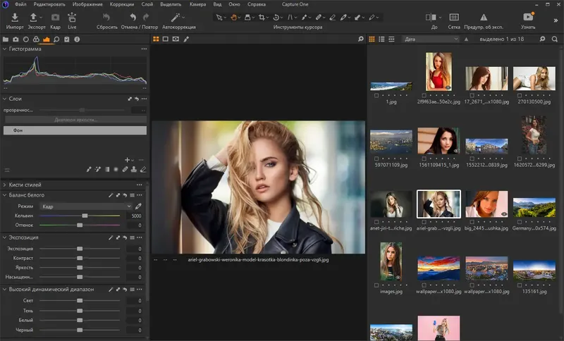 Программный интерфейс Phase One Capture One Pro 22 15.2.1.9 RePack by KpoJIuK [Multi Ru]