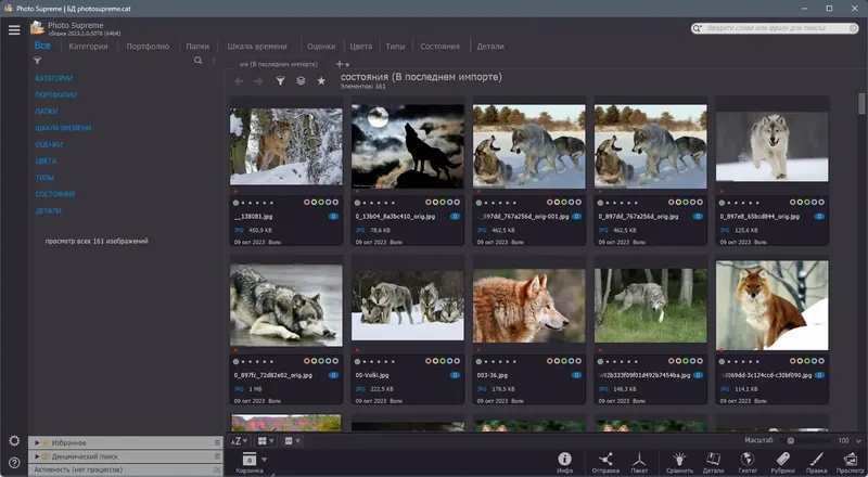 Программный интерфейс Photo Supreme 2023.2.0.5078 (x64) RePack (& Portable) by elchupacabra [Multi Ru]