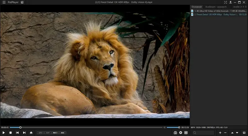 Программный интерфейс PotPlayer 230208 (1.7.21878) (13.03.2023) (x64) Stable RePack (& portable) by elchupacabra [Multi Ru]