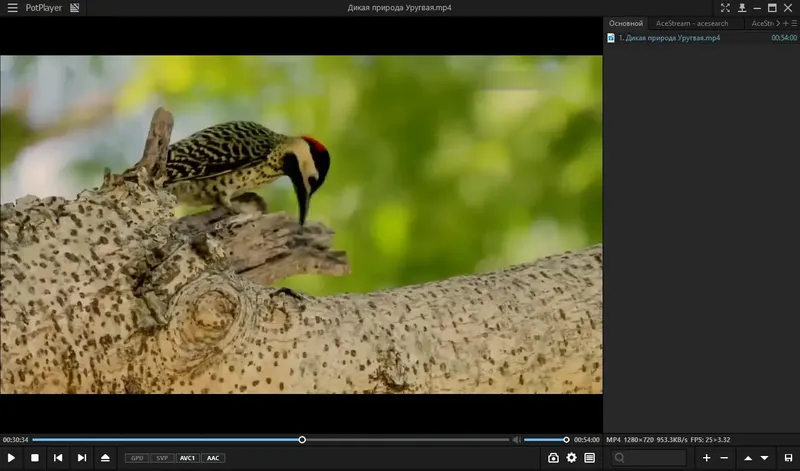 Программный интерфейс PotPlayer 230523 (1.7.21916) RePack (& portable) by elchupacabra [Multi Ru]