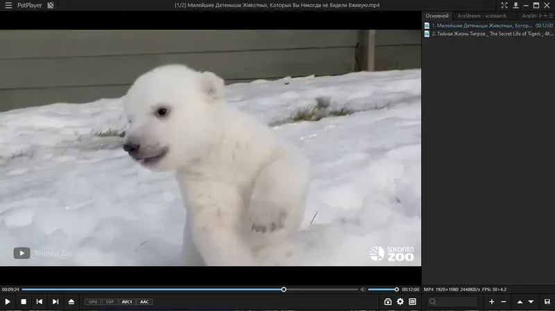 Программный интерфейс PotPlayer 230707 (1.7.21953) RePack (& portable) by elchupacabra [Multi Ru]