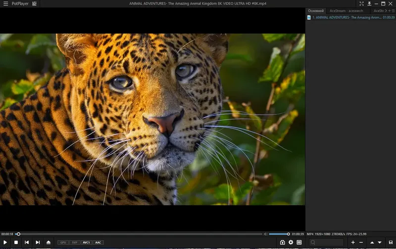 Программный интерфейс PotPlayer 240315 (1.7.22129) RePack (& portable) by elchupacabra [Multi Ru]