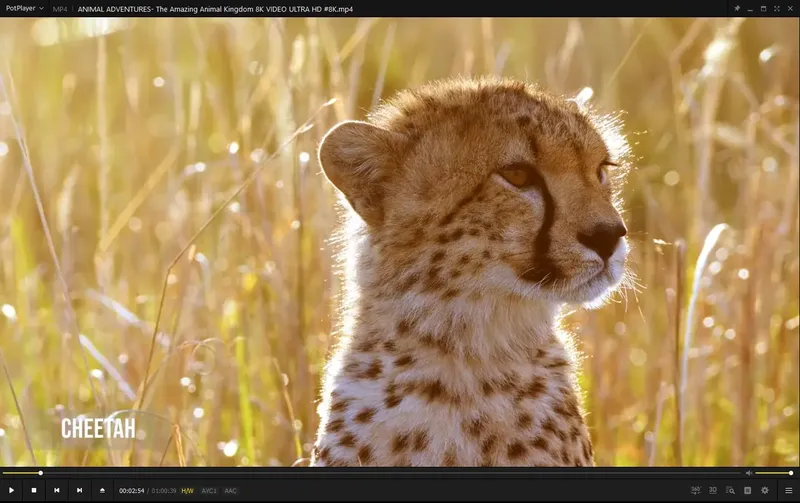 Программный интерфейс PotPlayer 240315 (1.7.22129) Stable + Portable (x86 x64) by SamLab [Multi Ru]