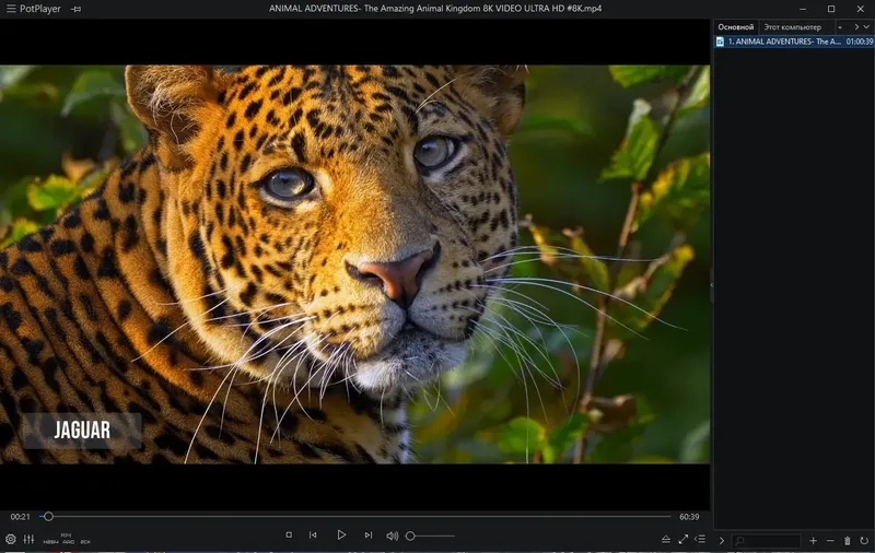Программный интерфейс PotPlayer 240514 (1.7.22230) Stable RePack (& portable) by KpoJIuK [Multi Ru]