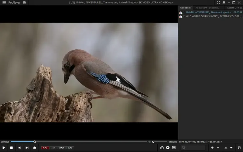 Программный интерфейс PotPlayer 240618 (1.7.22266) RePack (& portable) by elchupacabra [Multi Ru]