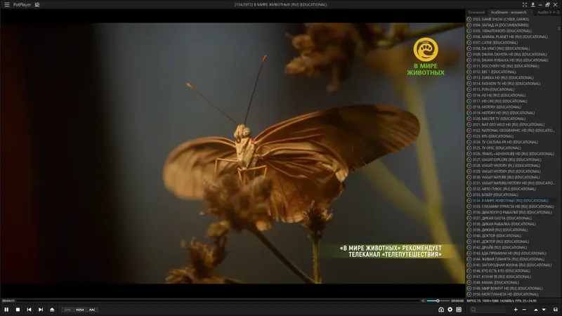 Программный интерфейс PotPlayer 241015 (1.7.22347) RePack (& Portable) by elchupacabra [Multi Ru]