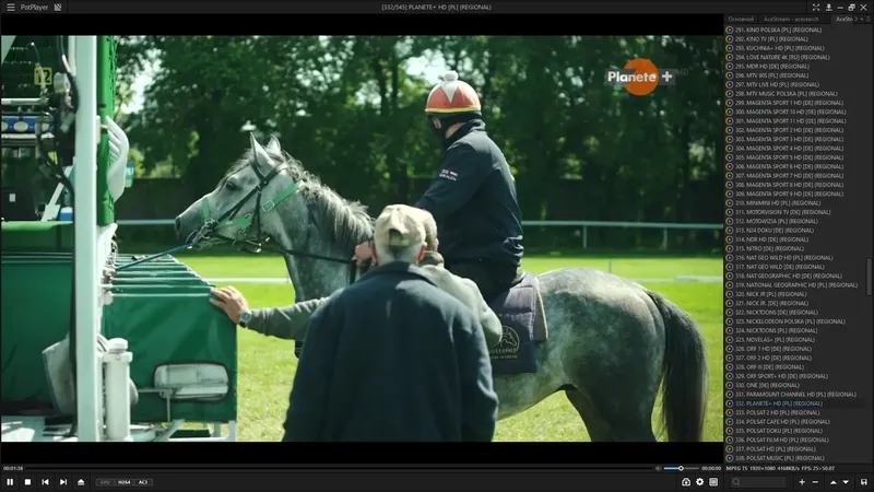 Программный интерфейс PotPlayer 250313 (1.7.22508) RePack (& Portable) by elchupacabra (23.04.2025) [Multi Ru]