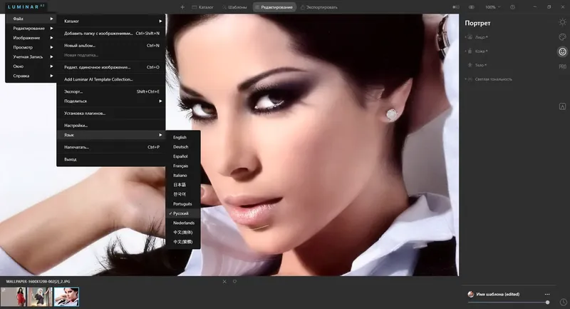 Программный интерфейс Skylum Luminar AI 1.0.1.7514 (2021) РС RePack & Portable by elchupacabra