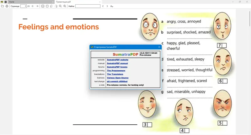 Программный интерфейс Sumatra PDF 3.5.15411 (x64) Pre-release + Portable [Multi Ru]