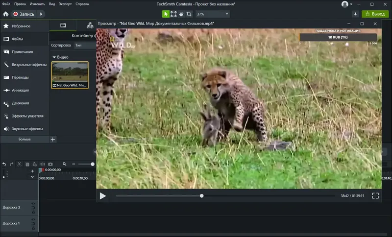 Программный интерфейс TechSmith Camtasia 24.0.4 build 2964 RePack by elchupacabra [Multi Ru]