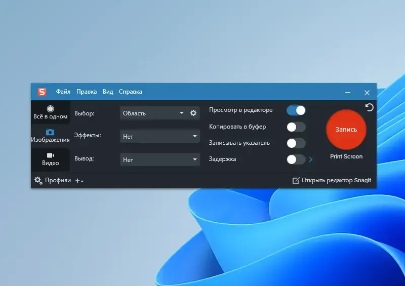 Программный интерфейс TechSmith Snagit 2024.0.1 build 555 (x64) RePack by elchupacabra [Multi Ru]