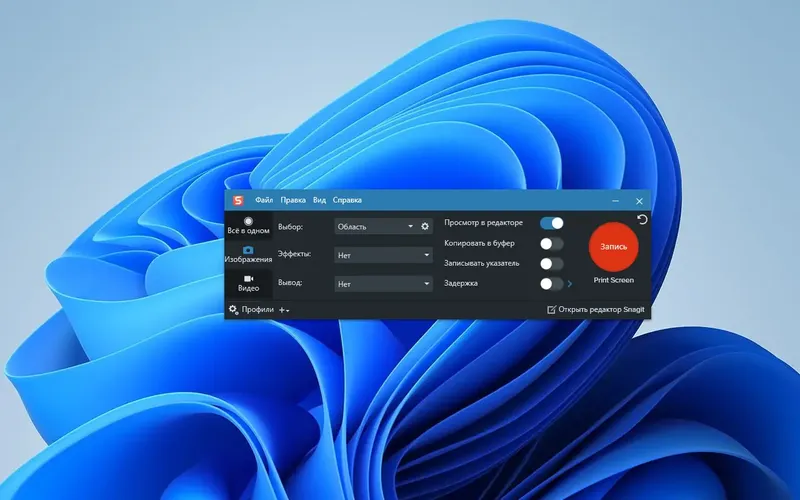 Программный интерфейс TechSmith Snagit 2024.2.2 build 3491 (x64) RePack by elchupacabra [Multi Ru]