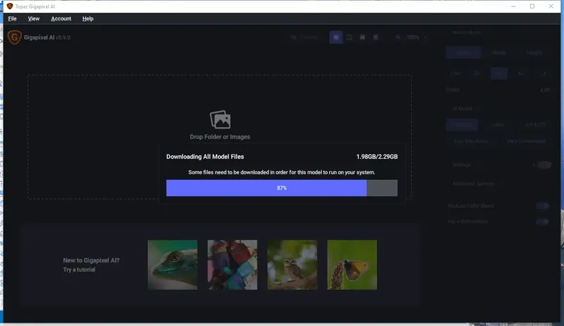Программный интерфейс Topaz Gigapixel AI 5.9.0 RePack (& Portable) by TryRooM [En]