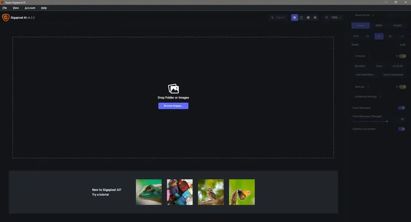 Программный интерфейс Topaz Gigapixel AI 6.2.2 RePack (& Portable) by TryRooM [En]