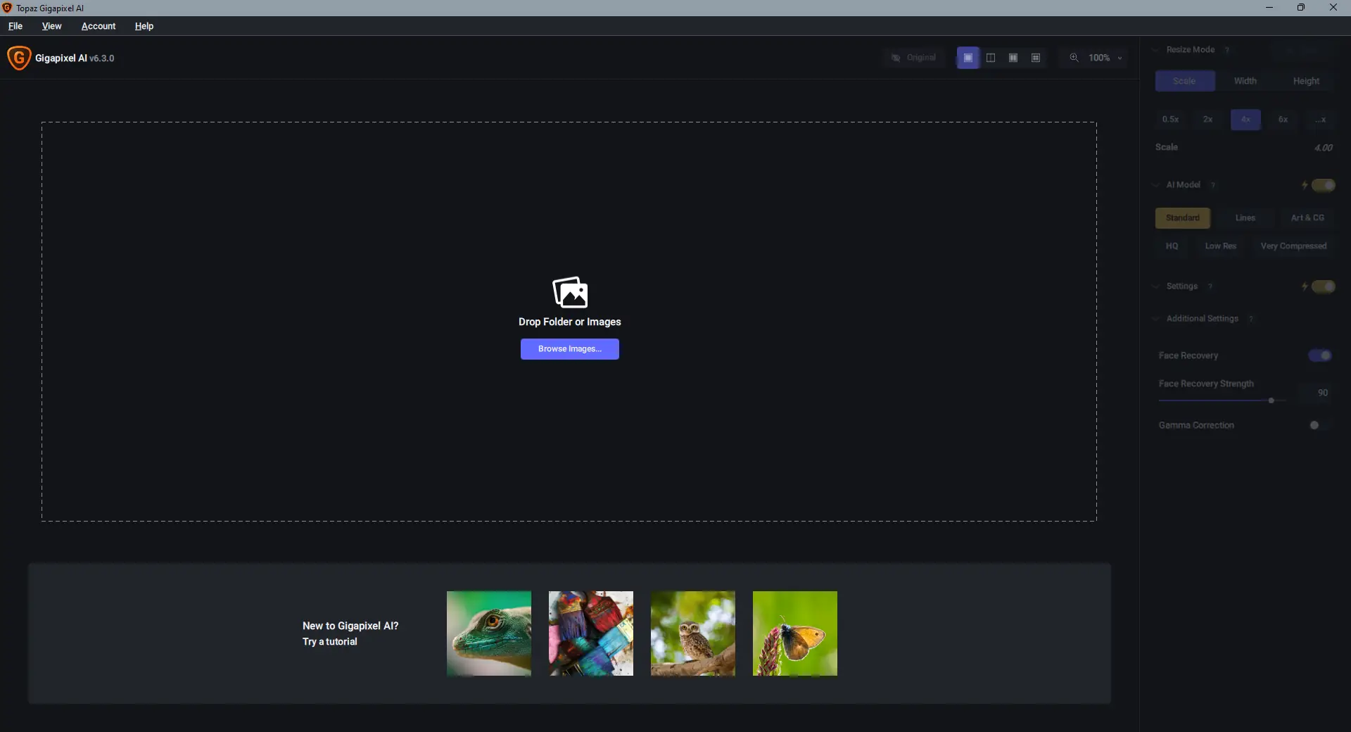 Программный интерфейс Topaz Gigapixel AI 6.3.0 RePack (& Portable) by TryRooM [En]