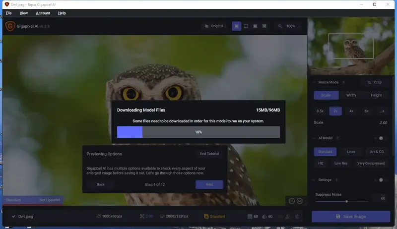 Программный интерфейс Topaz Gigapixel AI 6.3.3 Portable by 7997 [En]