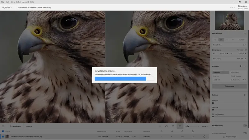 Программный интерфейс Topaz Gigapixel AI 7.4.3 RePack (& Portable) by elchupacabra [En]
